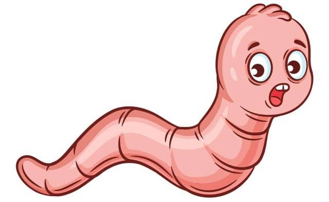 Symptoms of pinworm